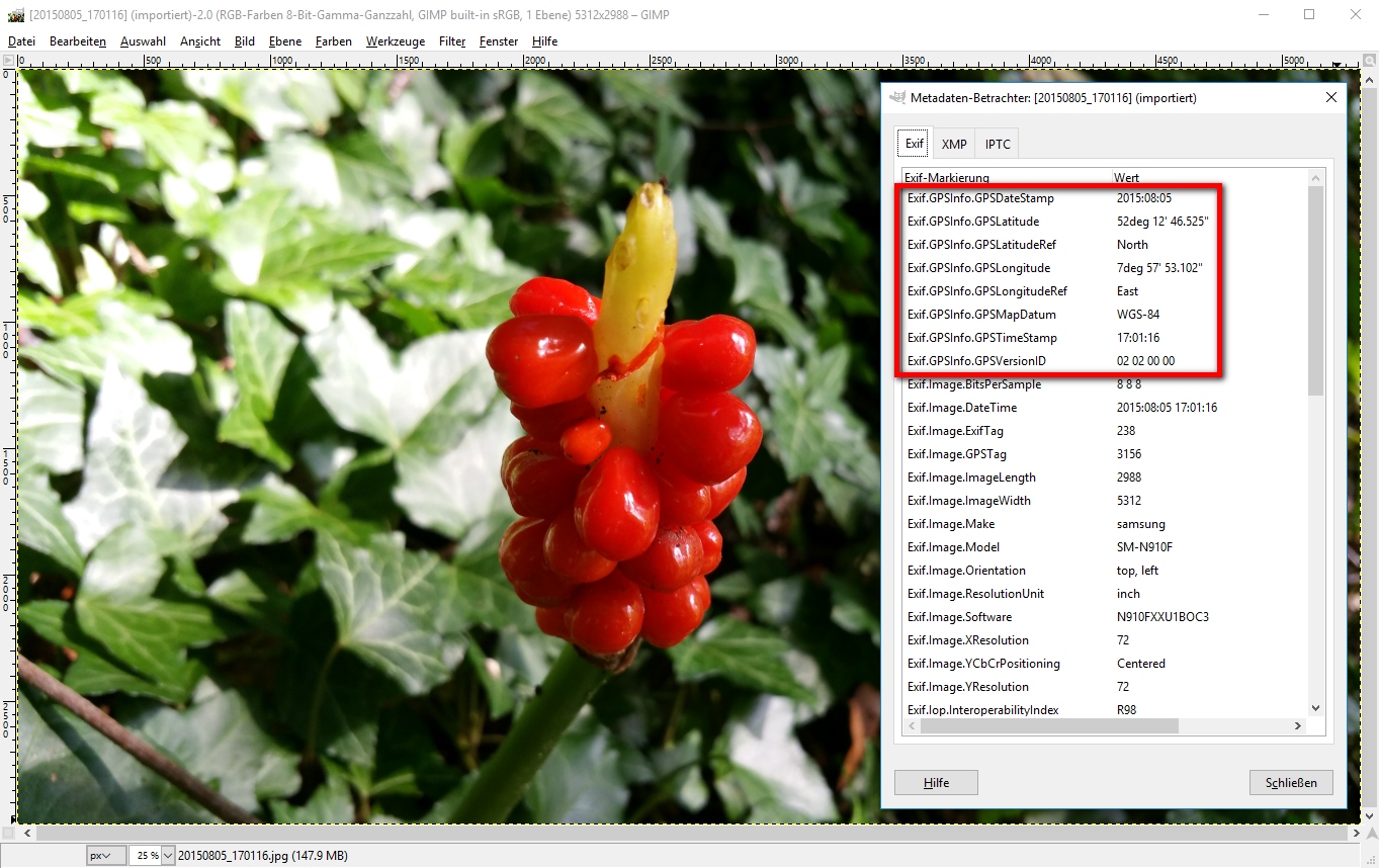 EXIF-informationen in gimp