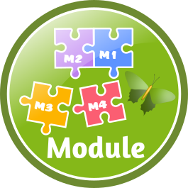 icon module