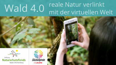 Wald 4.0 - reale Natur verlinkt mit der virtuellen Welt
